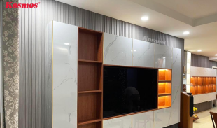 Top 3 tấm nhựa ốp tường đẹp dễ thi công năm 2024