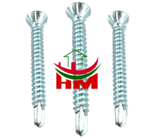 Vít inox đầu tè VITĐTE